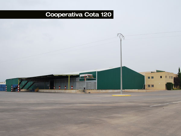 Cooperativa Cota